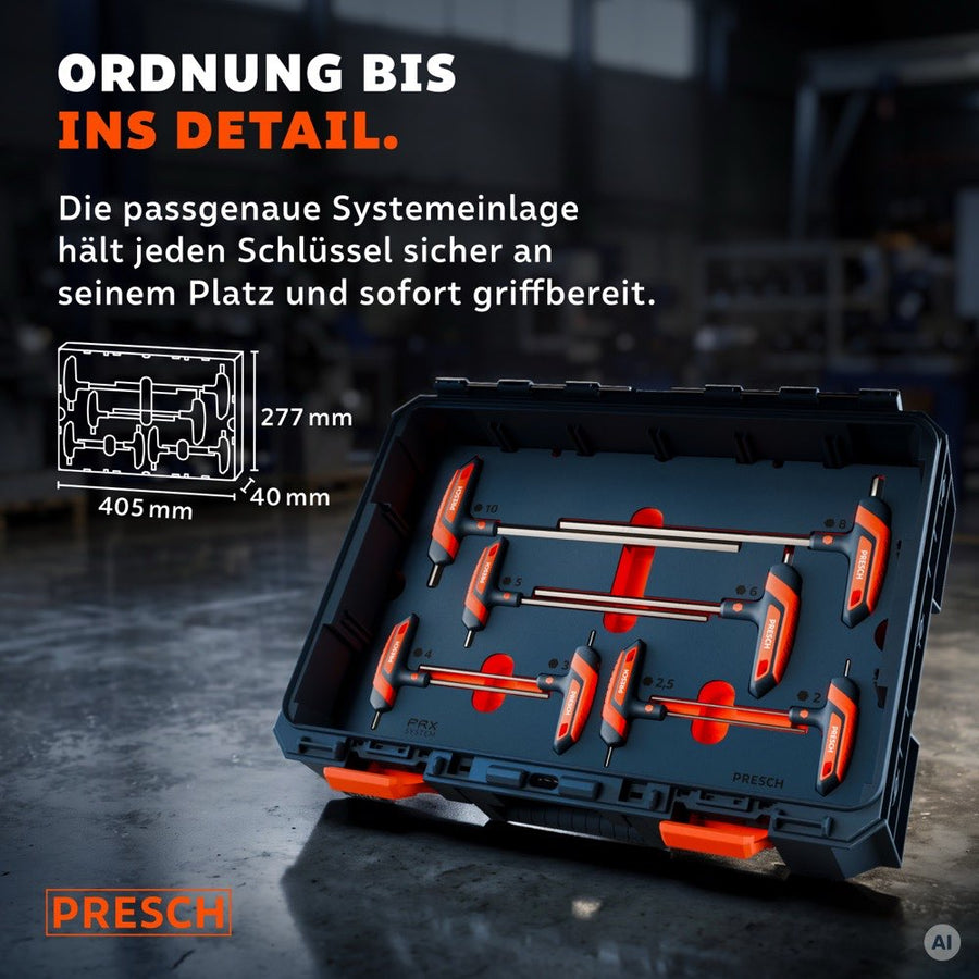 Systemeinlage mit acht T-Griff Schlüsseln im Werkzeugkoffer, Maße 405 mal 277 mm