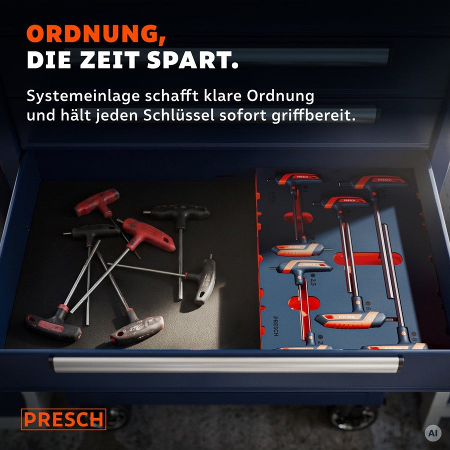 Werkzeugwagen Schublade mit Systemeinlage und eingelegten T-Griff Schlüsseln