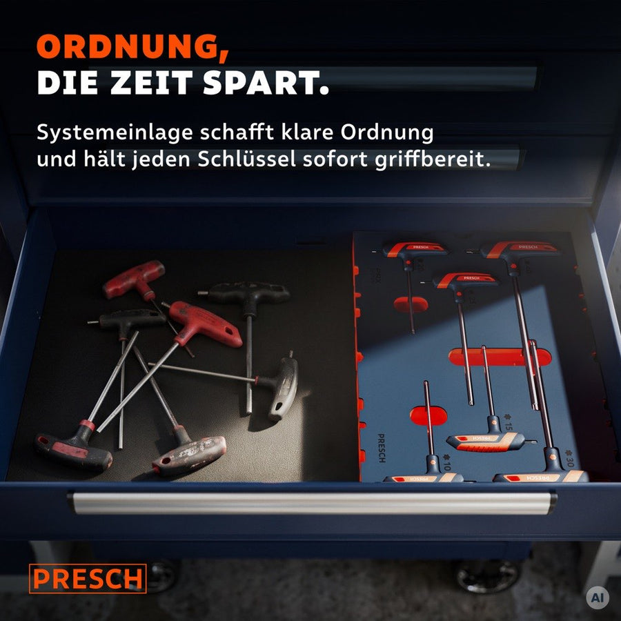Werkzeugwagen Schublade mit Systemeinlage und eingelegten T-Griff Schlüsseln